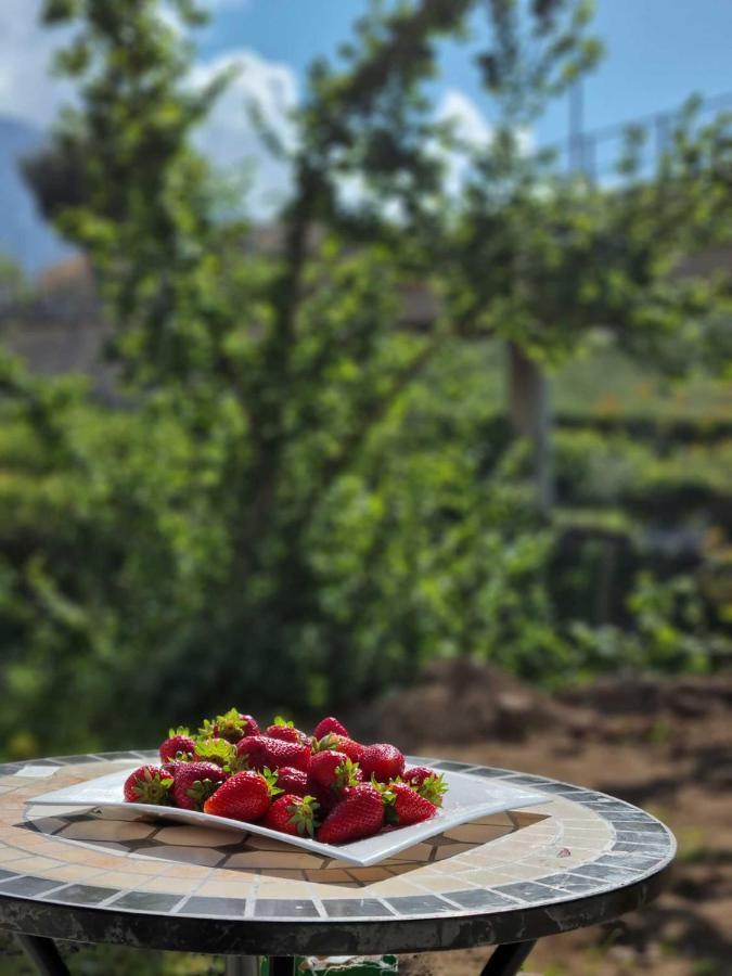 B&B Carmelina Gragnano Zewnętrze zdjęcie